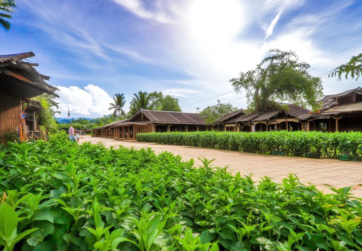 Xổ Số Miền Trung Gia Lai Ngày 21: Ánh Sáng Vàng, Văn Hóa và Thiên Nhiên Thành Phố Gia Lai