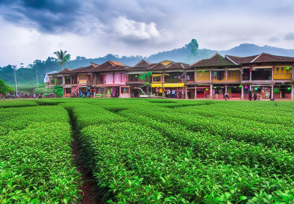 Buôn Ma Thuột - Điểm Du Lịch Văn Hóa Đắk Lắk Miền Nam
